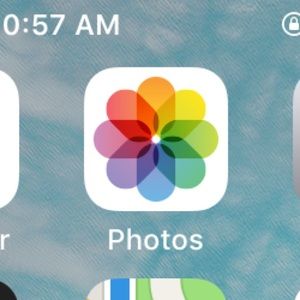 Meet your Posher, Rose